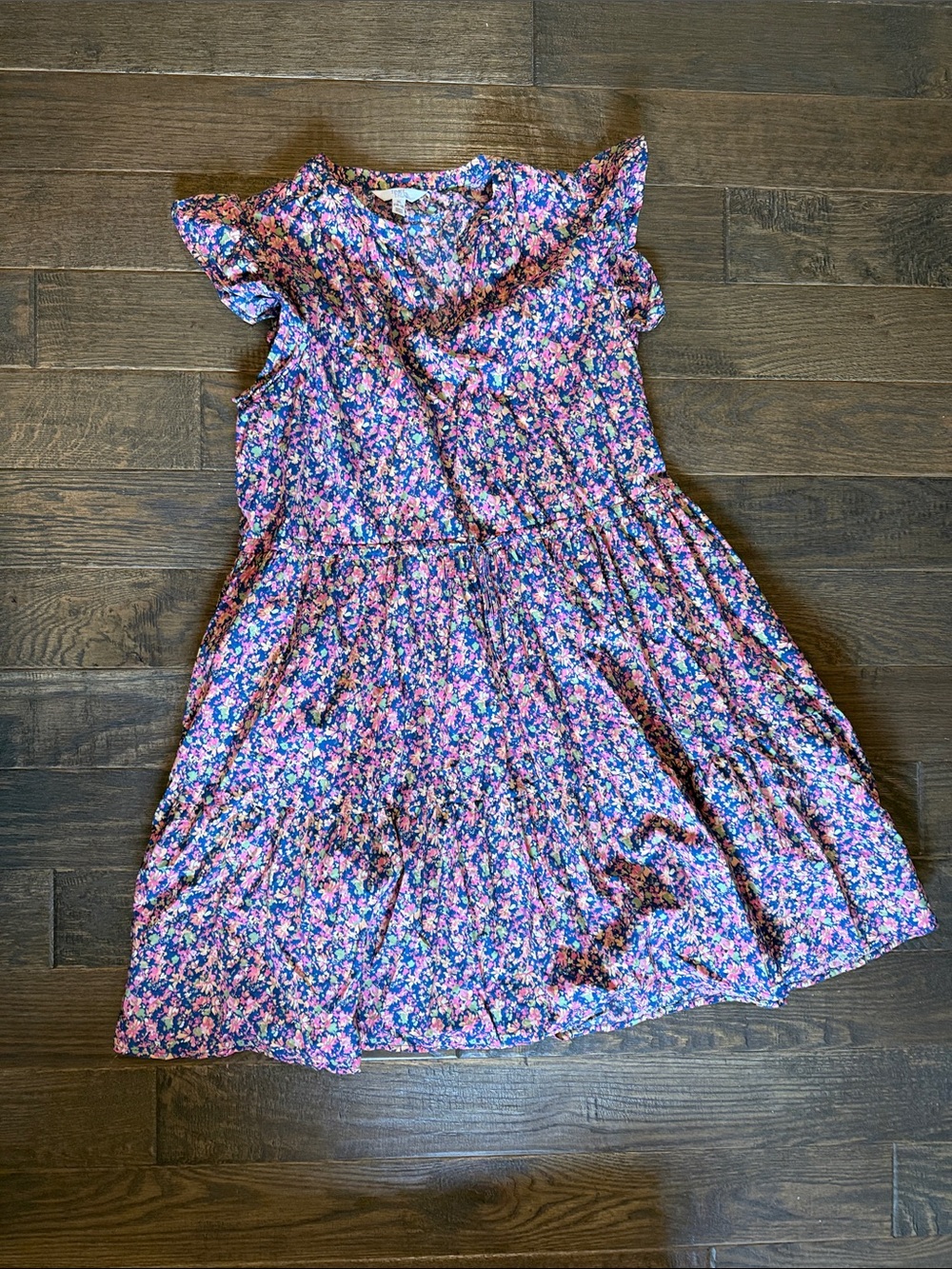 Women’s Floral Ruffle Sleeve Dress in Blue and Pink